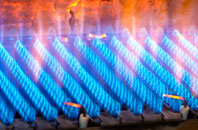 Cwrtnewydd gas fired boilers